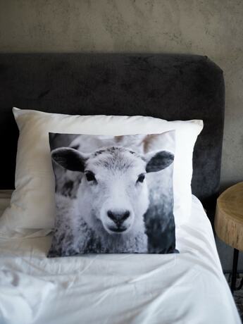 Imagen de la habitación del Hotel Biała Owca, ZAKOPANE. Foto 11
