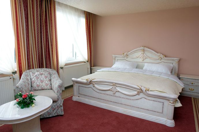 Imagen de la habitación del Hotel B&iacute;l&aacute; Růže. Foto 12