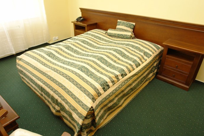 Imagen de la habitación del Hotel B&iacute;l&aacute; Růže. Foto 16