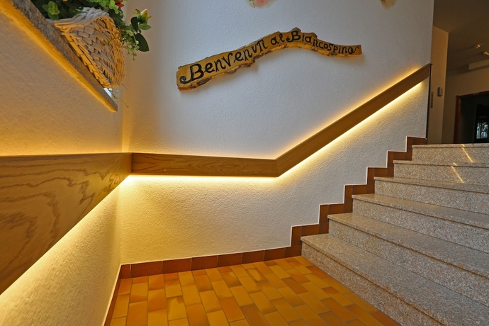 Imagen de los interiores del Hotel Biancospino. Foto 16