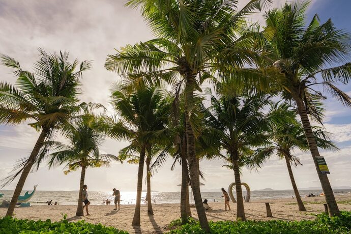 Imagen general del Hotel Bien Tay hotel. Foto 12