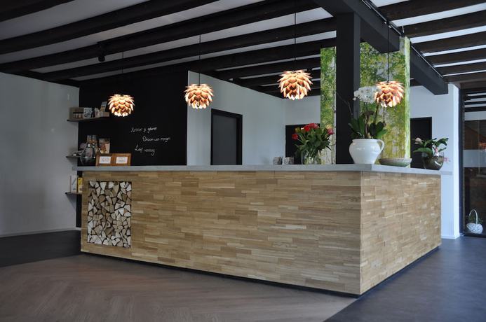 Imagen de los interiores del Hotel Bieze. Foto 19