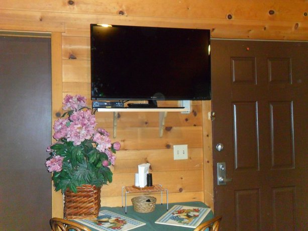 Imagen de la habitación del Hotel Big Bear Manor Spa Cabins. Foto 4