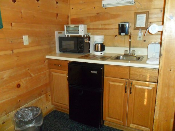 Imagen de la habitación del Hotel Big Bear Manor Spa Cabins. Foto 7