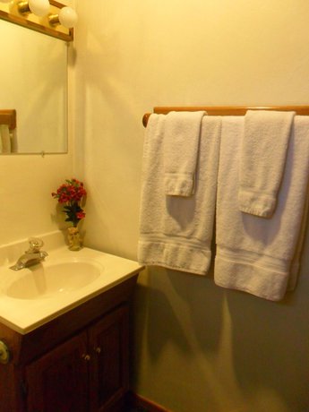 Imagen de la habitación del Hotel Big Bear Manor Spa Cabins. Foto 15