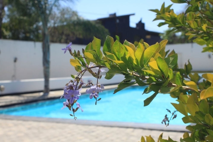 Imagen de la piscina del Hotel Big Ben Lodge. Foto 19