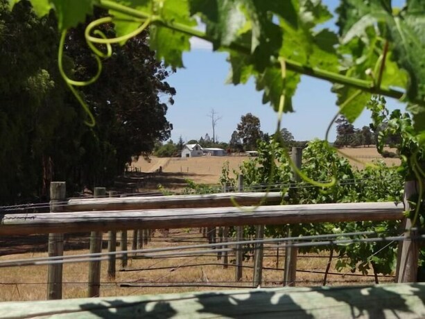 Imagen de la habitación del Hotel Big Brook Cottages. Foto 26