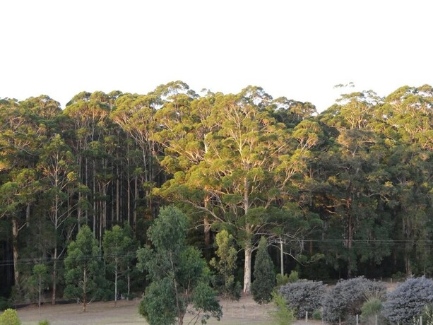 Imagen de los exteriores del Hotel Big Brook Cottages. Foto 32