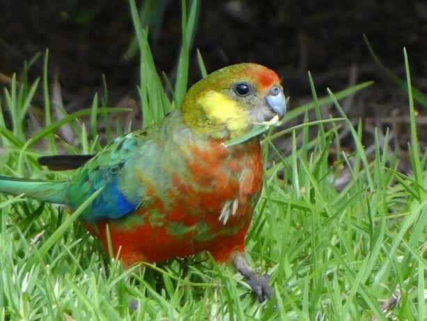 Imagen de los exteriores del Hotel Big Brook Cottages. Foto 33