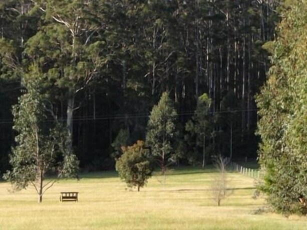 Imagen de los exteriores del Hotel Big Brook Cottages. Foto 37