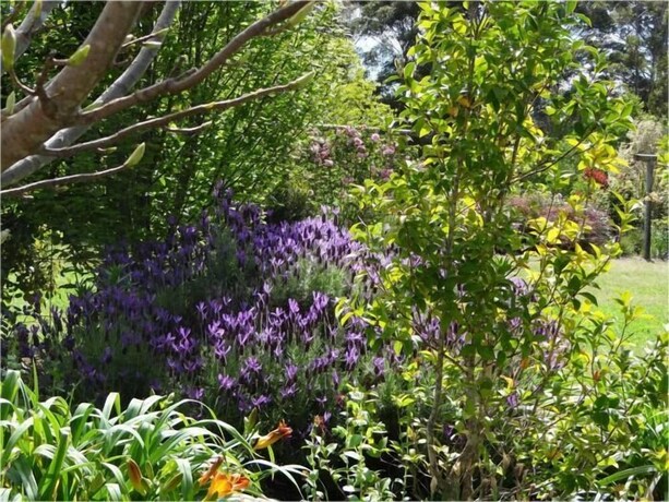 Imagen de los exteriores del Hotel Big Brook Cottages. Foto 38