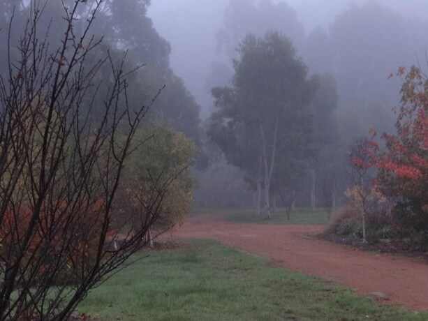 Imagen de los exteriores del Hotel Big Brook Cottages. Foto 39