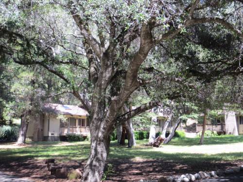 Imagen de la habitación del Hotel Big Sur Lodge. Foto 5