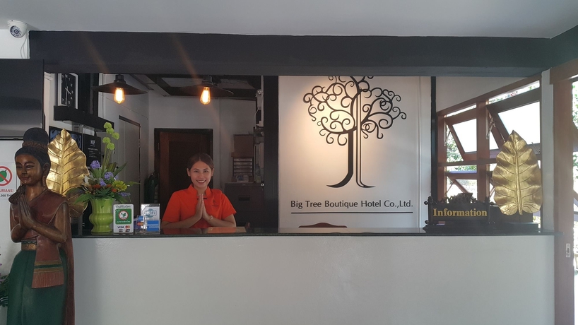 Imagen de los interiores del Hotel Big Tree Old Town. Foto 15