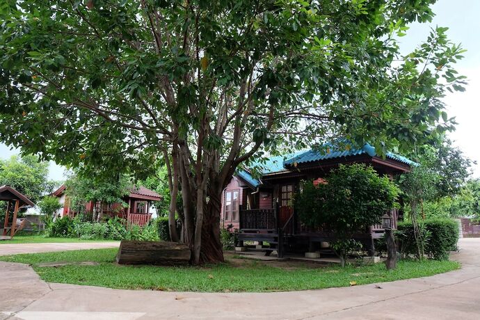 Imagen general del Hotel Big Tree Resort. Foto 8