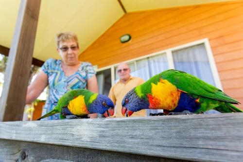 Imagen general del Hotel Big4 Batemans Bay At Easts Riverside Holiday Park. Foto 5