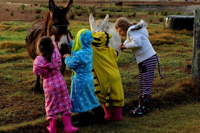Imagen de los exteriores del Hotel Big4 Taunton Farm Holiday Park. Foto 11