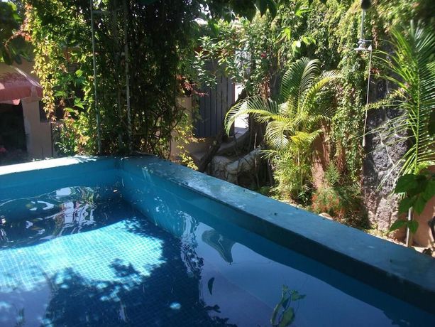 Imagen de la piscina del Hotel Bigu. Foto 18