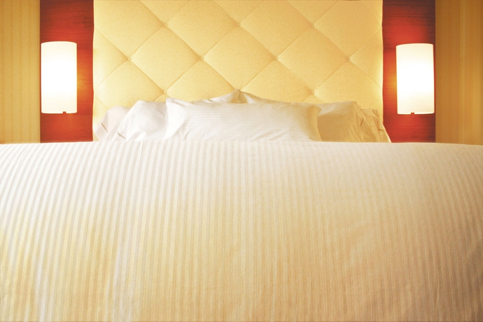 Imagen de la habitación del Hotel Bilderberg Bellevue Dresden. Foto 9