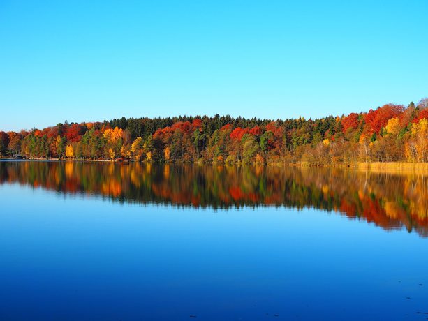 Imagen general del Hotel Bildungsblick. Foto 3