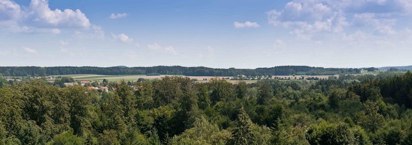 Imagen de la habitación del Hotel Bildungsblick. Foto 17