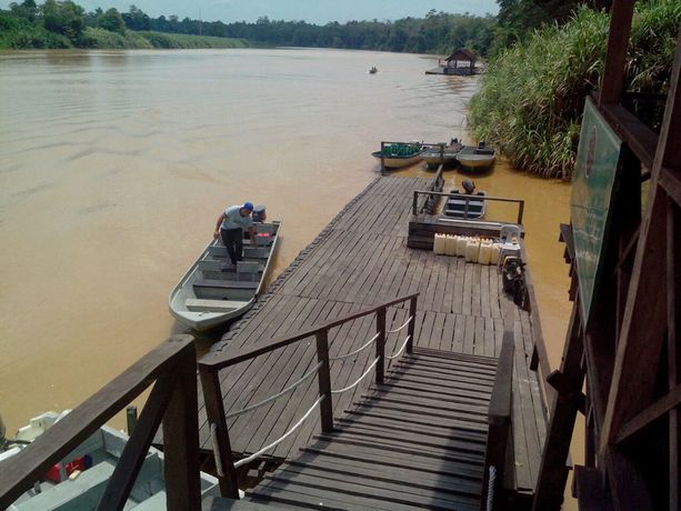 Imagen de la habitación del Hotel Bilit Adventure Lodge. Foto 9