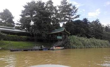 Imagen de la habitación del Hotel Bilit Adventure Lodge. Foto 10