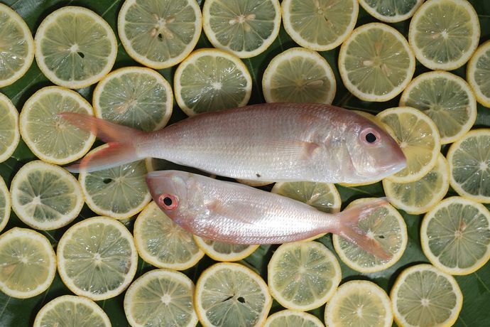 Imagen del bar/restaurante del Hotel Billiton and Klub. Foto 2