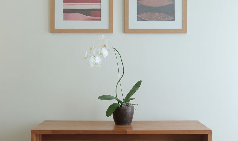 Imagen de la habitación del Hotel Billiton and Klub. Foto 15