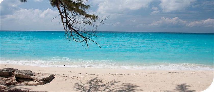 Imagen del bar/restaurante del Hotel Bimini Big Game Club Resort and Marina. Foto 9