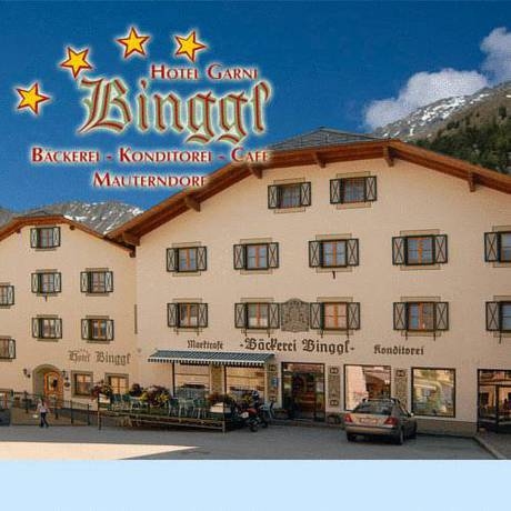 Imagen general del Hotel Binggl. Foto 8