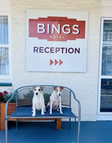 Imagen de los interiores del Hotel Bings Motel. Foto 16
