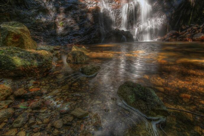 Imagen general del Hotel Binna Burra Sky Lodges. Foto 2