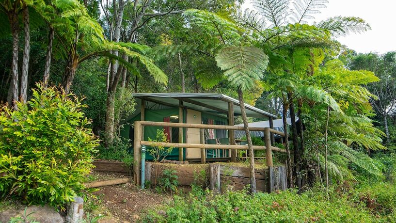 Imagen de la habitación del Hotel Binna Burra Sky Lodges. Foto 18