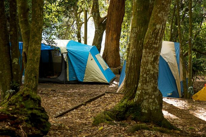 Imagen de la habitación del Hotel Binna Burra Sky Lodges. Foto 26