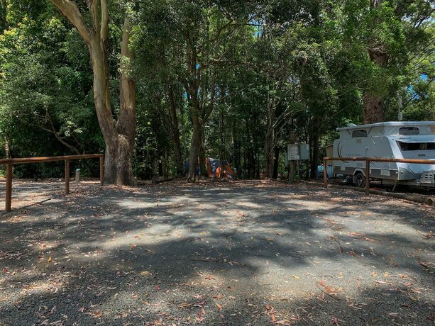 Imagen de la habitación del Hotel Binna Burra Sky Lodges. Foto 28