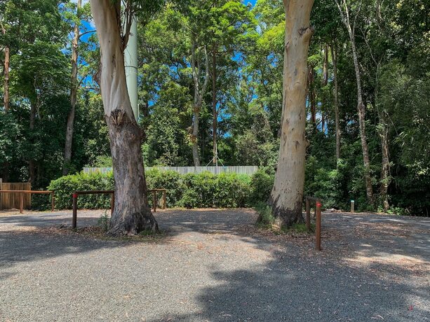 Imagen de la habitación del Hotel Binna Burra Sky Lodges. Foto 33