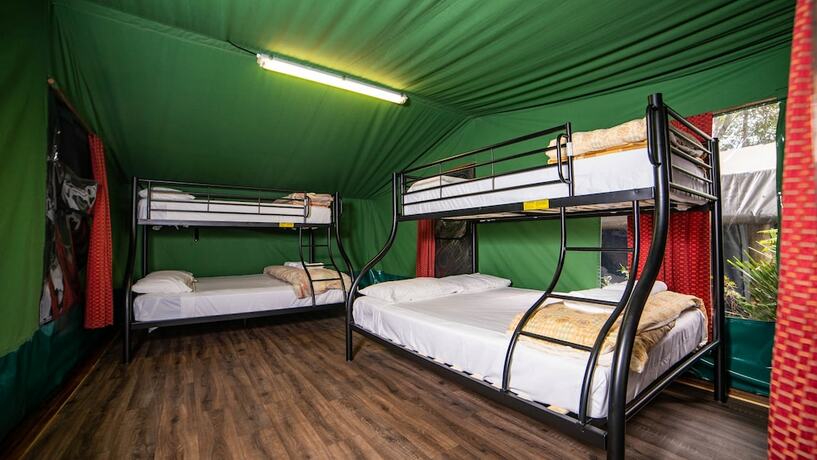 Imagen de la habitación del Hotel Binna Burra Sky Lodges. Foto 39