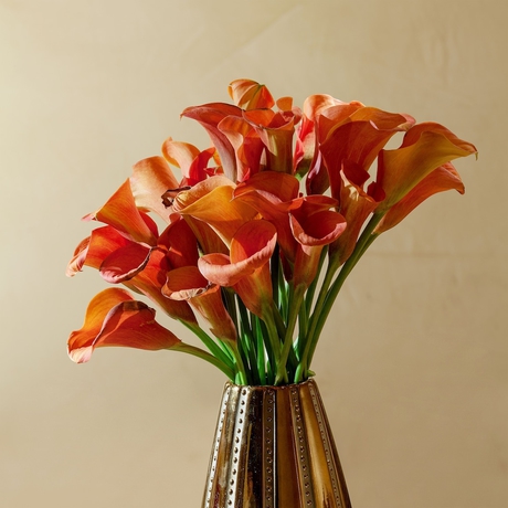 Imagen de la habitación del Hotel Bio Raphael - Relais & Châteaux. Foto 11