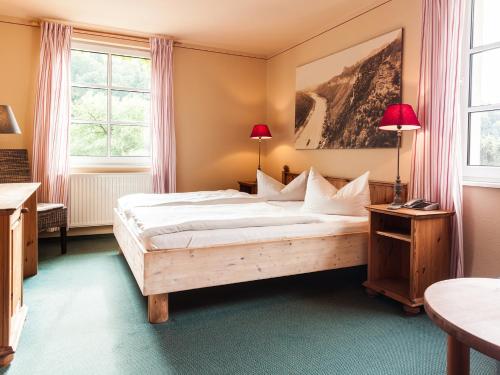 Imagen general del Hotel Bio-Helvetia. Foto 4