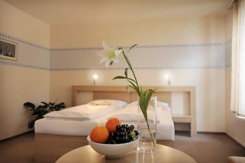 Imagen de la habitación del Hotel Biograf. Foto 10