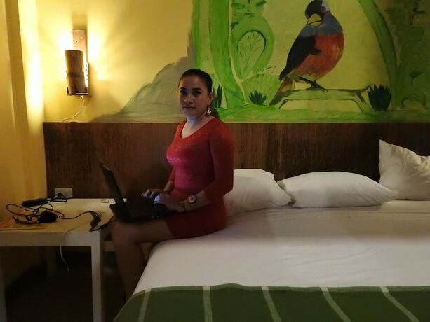 Imagen general del Hotel Biohostal Mindo Cloud Forest. Foto 1
