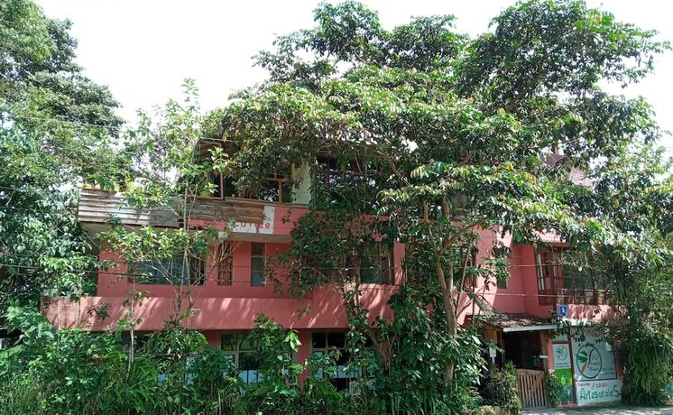 Imagen general del Hotel Biohostal Mindo Cloud Forest. Foto 4