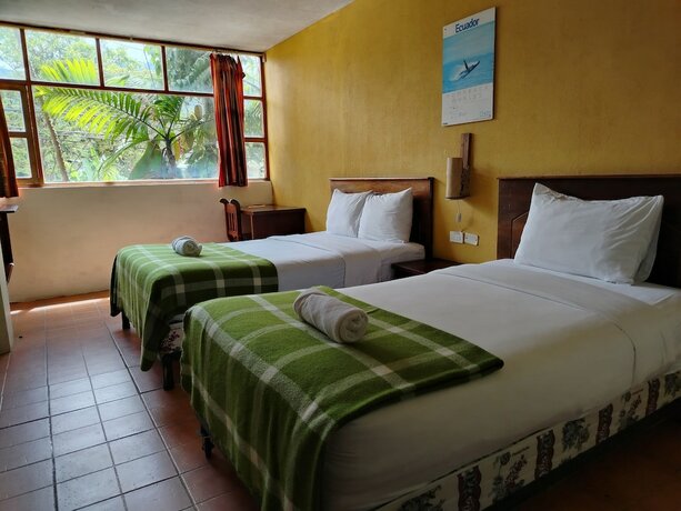 Imagen de la habitación del Hotel Biohostal Mindo Cloud Forest. Foto 16