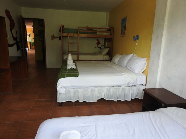 Imagen general del Hotel Biohostal Mindo Cloud Forest. Foto 5