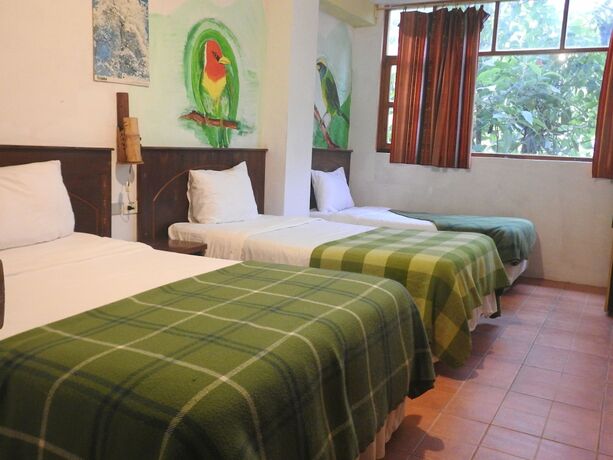 Imagen general del Hotel Biohostal Mindo Cloud Forest. Foto 9
