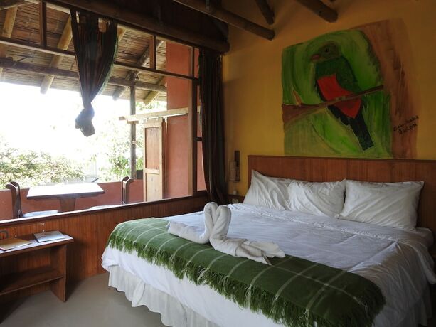 Imagen de la habitación del Hotel Biohostal Mindo Cloud Forest. Foto 19