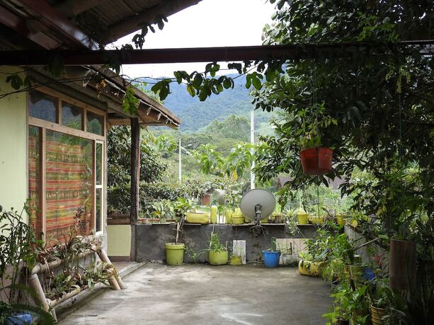 Imagen general del Hotel Biohostal Mindo Cloud Forest. Foto 14