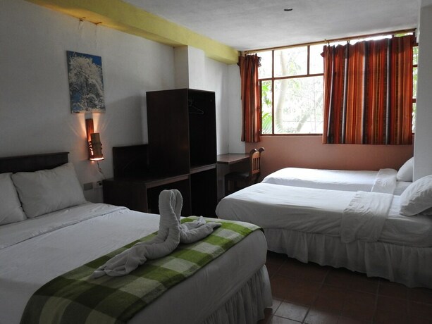 Imagen de la habitación del Hotel Biohostal Mindo Cloud Forest. Foto 20