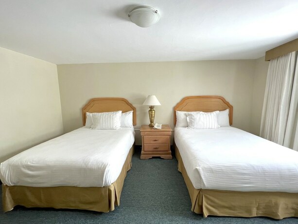 Imagen de la habitación del Hotel Biohotel Boutique Metepec. Foto 2